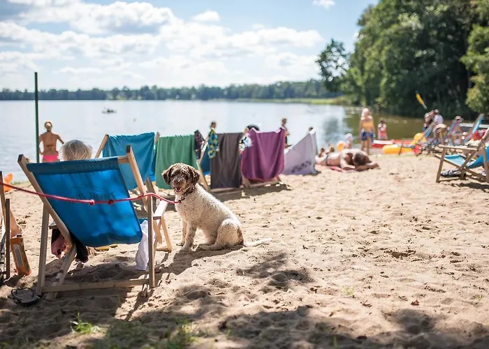 Klub Mila Kamień (Warmińsko-Mazurskie)
